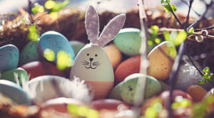 Easter eggs and bunny